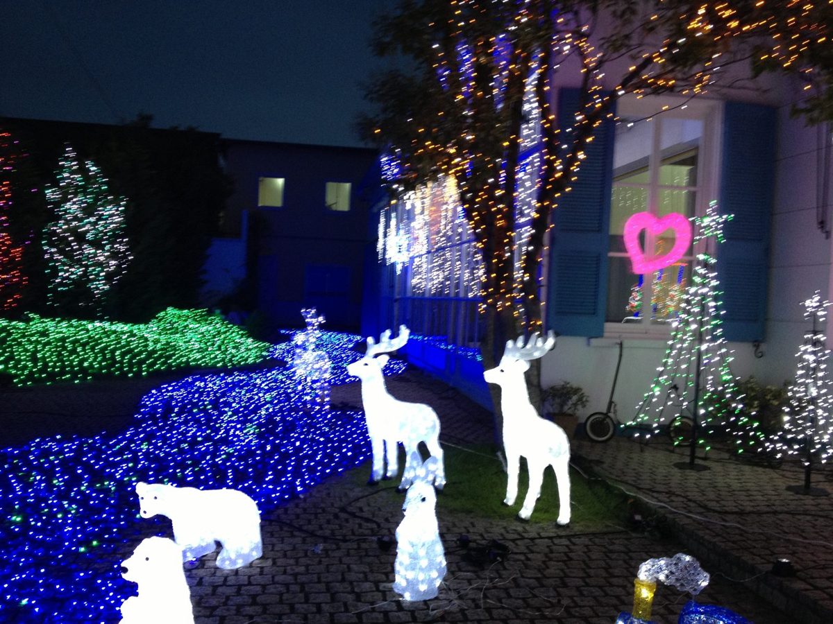 青と緑の光の絨毯と動物の庭