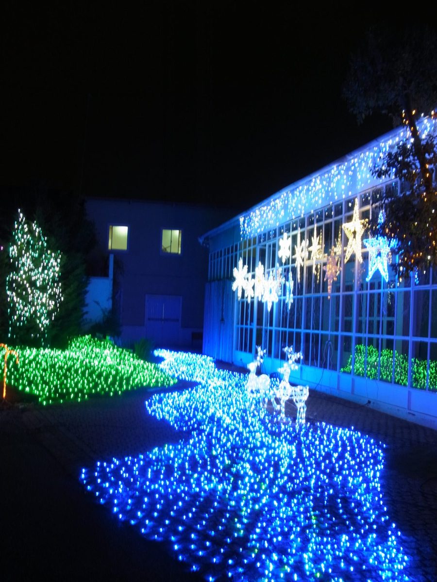 ガラス温室と青い光の川