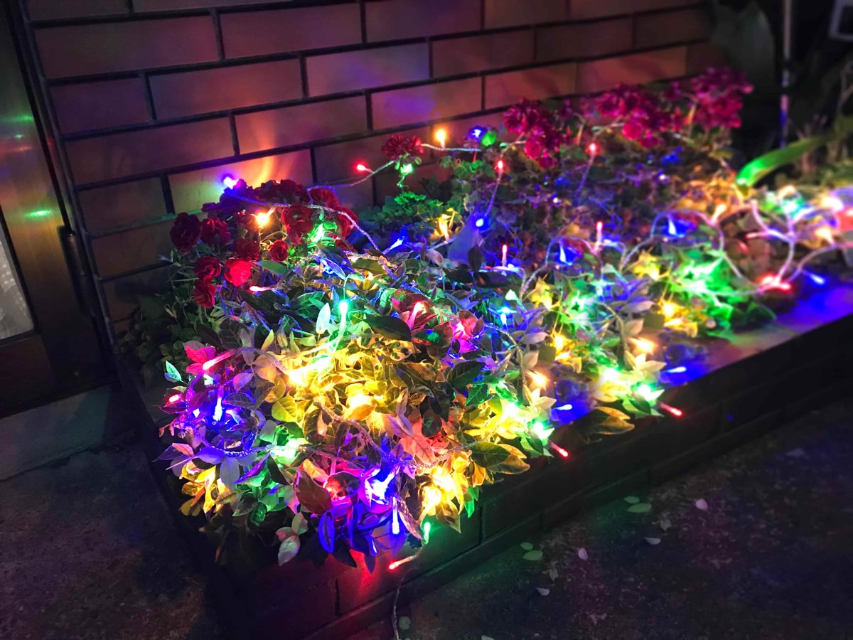 花壇のカラフルなストリングライト