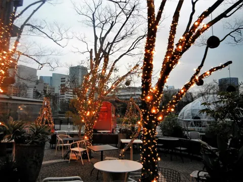 夕暮れのレストランテラス