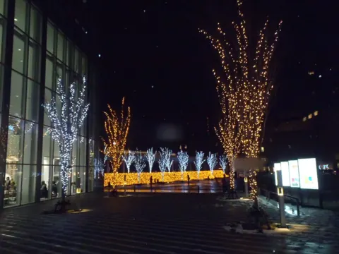 都市広場の並木イルミネーション