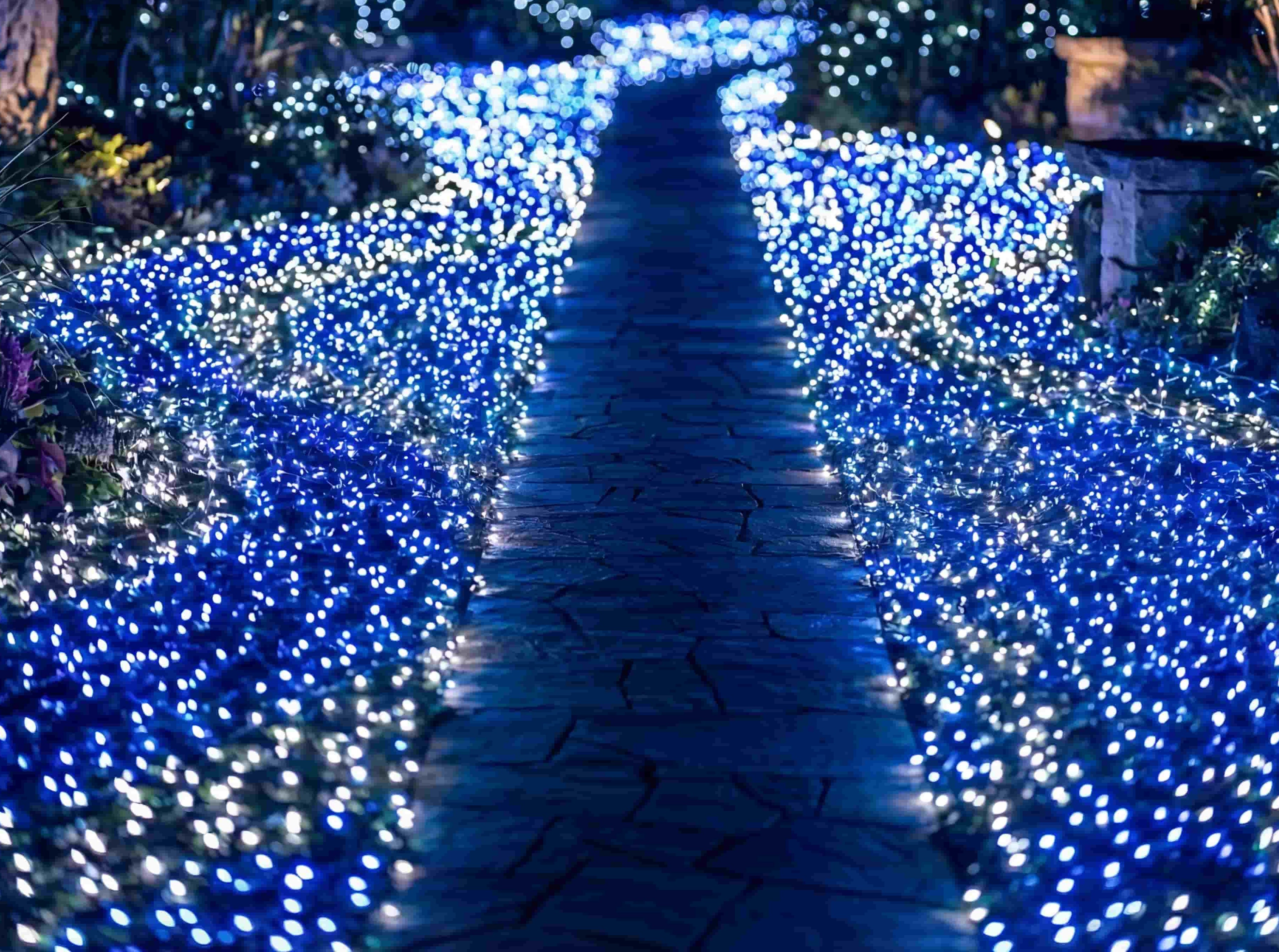 ミルキーウェイライト