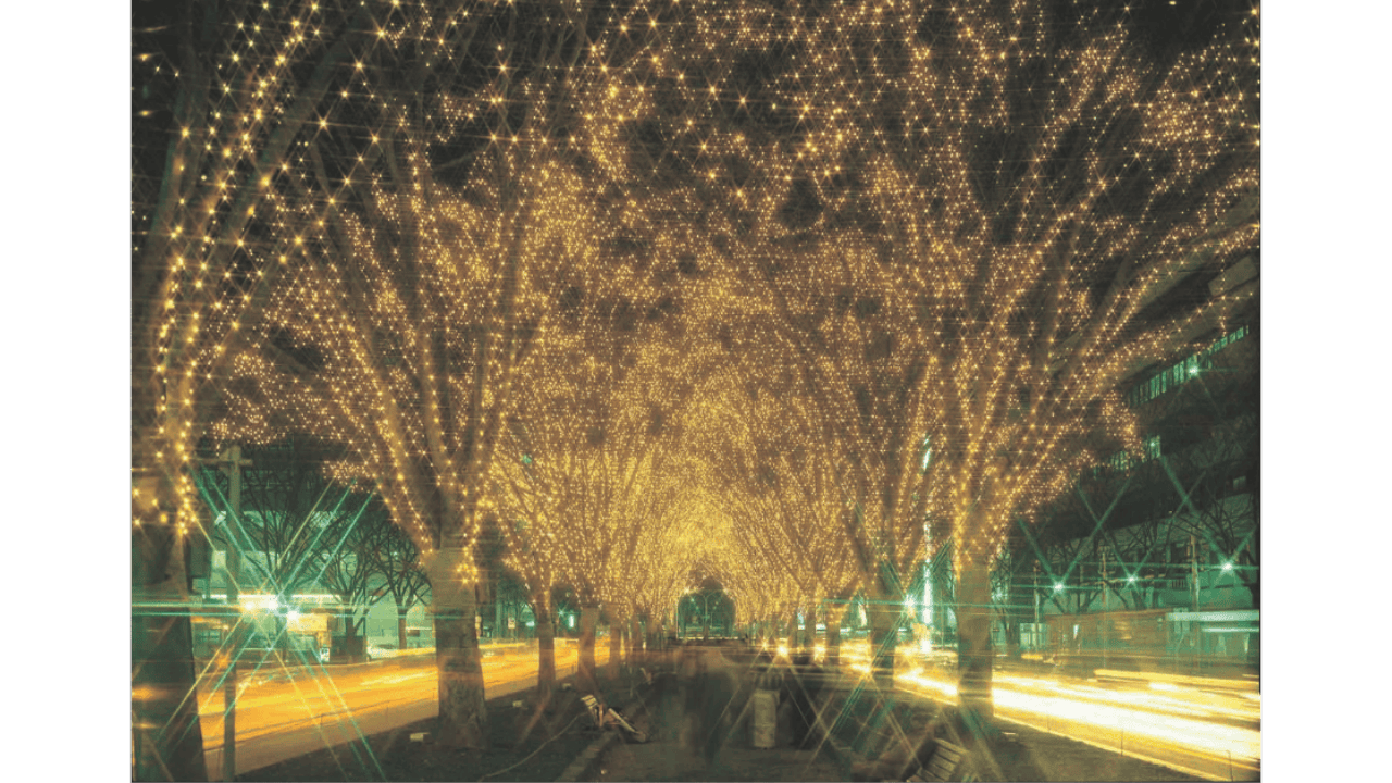 並木道の黄金色イルミネーション