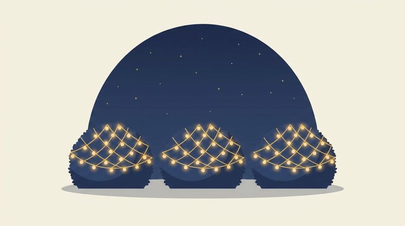 ネットライトをかぶせた植込みが並ぶイラスト