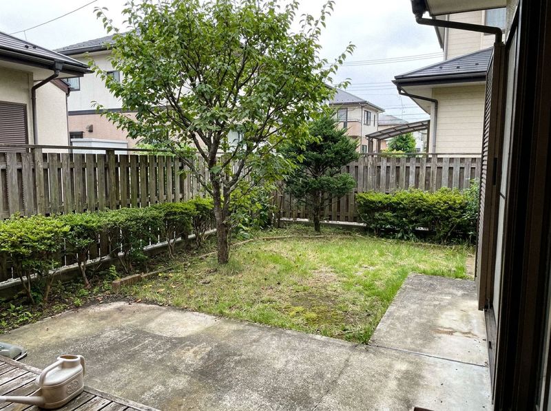 装飾前の樹木と植栽の写真