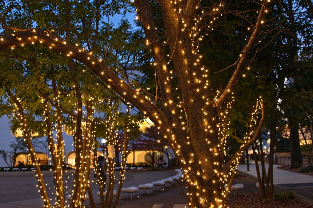 広場の樹木の幹と枝を電球色のLEDで巻いた飾り方の例