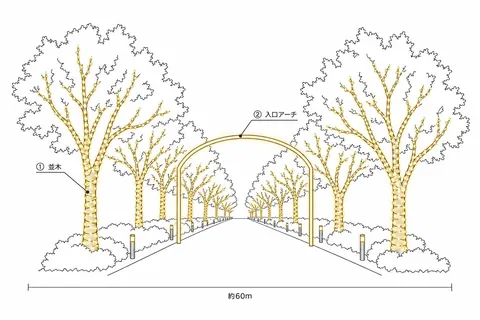 公園（並木道）の飾り方の図